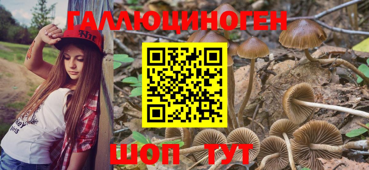 Галлюциногенные грибы ЛСД Гатчина